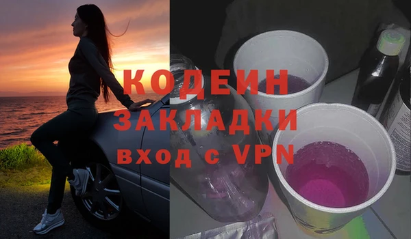 шишки Надым