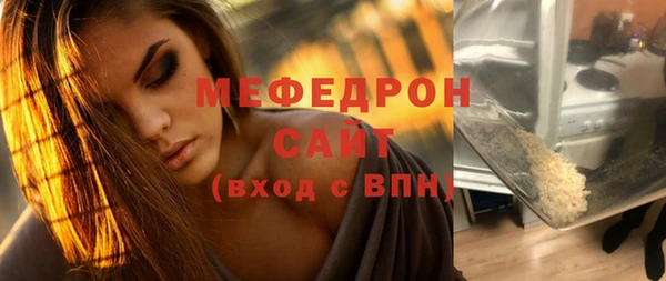 шишки Надым