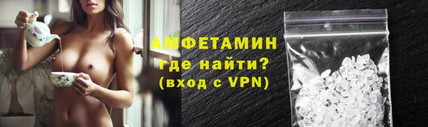 шишки Надым