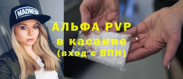 шишки Надым