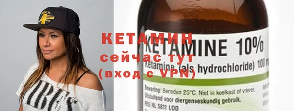 шишки Надым