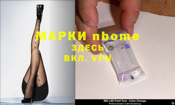 шишки Надым