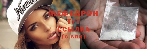 шишки Надым
