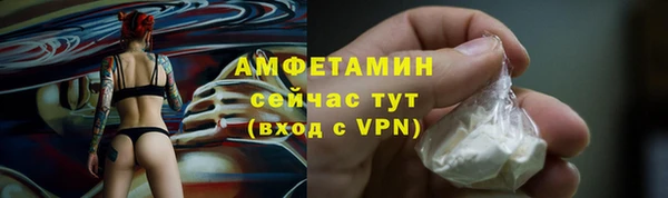 шишки Надым