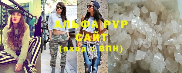 шишки Надым