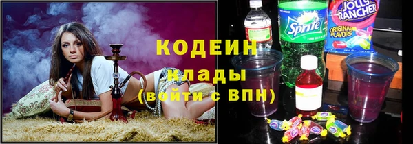 шишки Надым