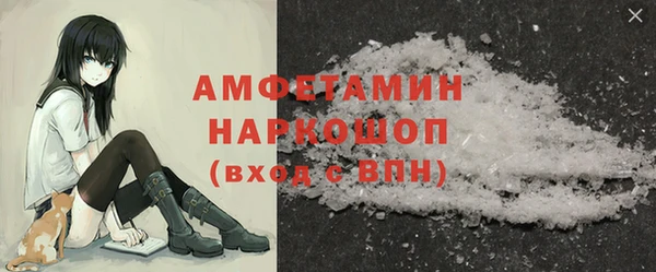 шишки Надым