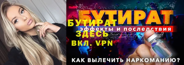 шишки Надым