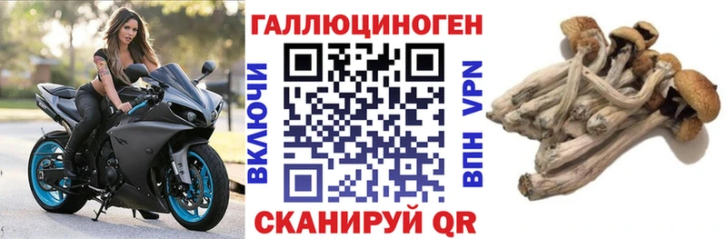 Купить  Яранск  Псилоцибиновые грибы Psilocybine cubensis 